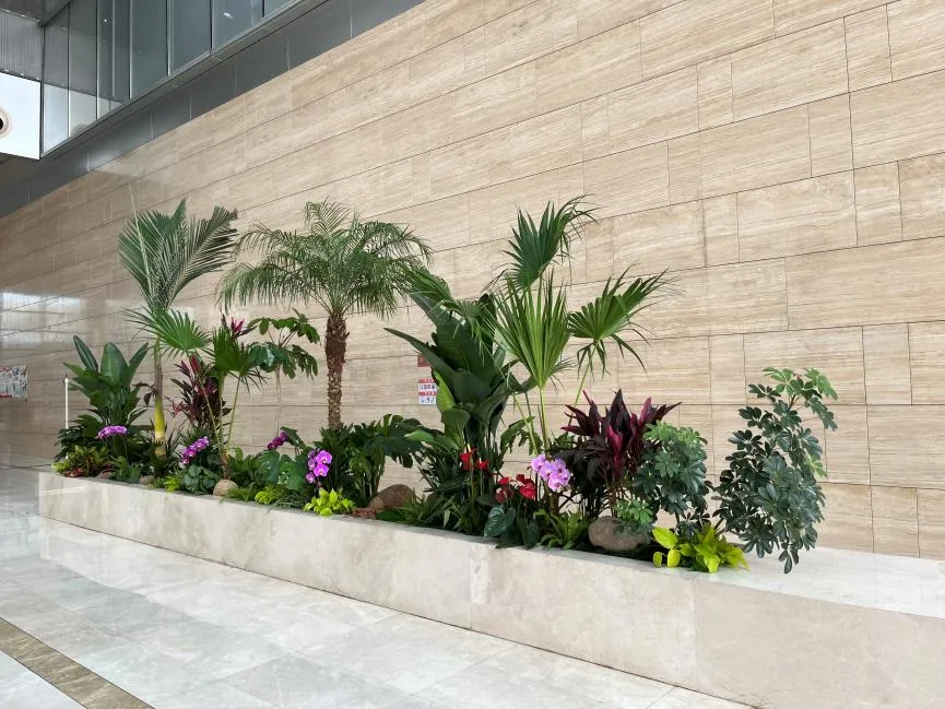 慈溪花木租赁哪家好